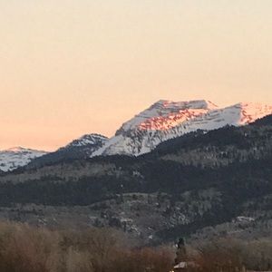 Meet your Posher, Joe